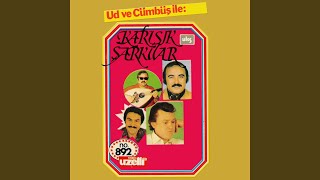 İstemiyorum