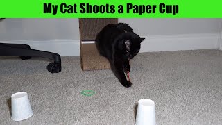 My Cat Shoots a Paper Cup with a Rubber Band by Serena the kAt 336 views 4 weeks ago 1 minute, 6 seconds