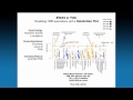 Part 7 - The NIEHS Exposure Science and the Exposome Webinar Series - Dr. Chirag Patel