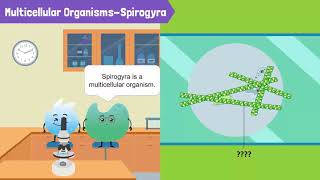 Cells, Unicellular Organisms, and Multicellular Organisms