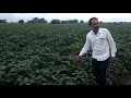 पृथ्वी एग्रो प्रोडक्ट रिजल्ट 2020