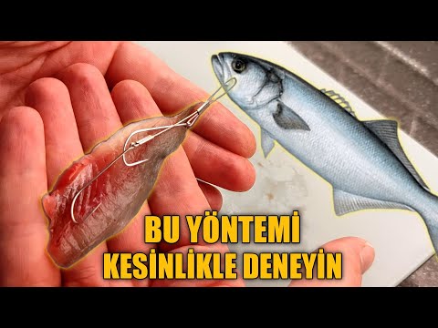 Lüfer Avında Mükemmel Sonuç Veren Yöntem