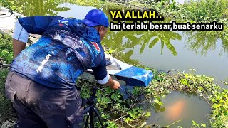 MELAMPAUI BATAS! Ikan mas bergantian menghajar pancingku