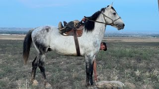 БУ ОТНИ УЛОГИГА АЛЛОХ ХОХЛАСА УЗИМ КАФОЛАТ БЕРАМАН