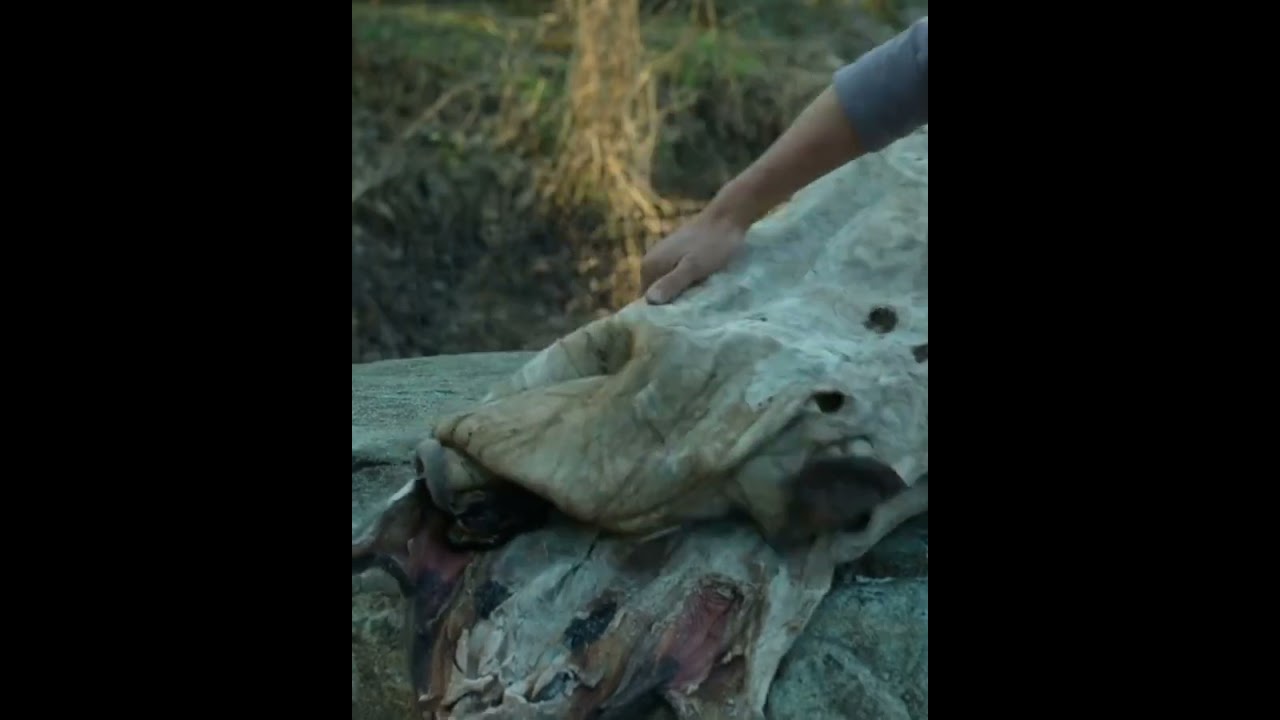 Nine-step donkey glue, starting from processing donkey skin