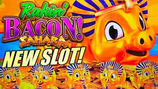 ★NEW SLOT!★ BIG WIN! NEW PIGS! 🐷 RAKIN BACON SAHARA & ODYSSEY Slot Machine (AGS)