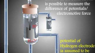 Standard Hydrogen Electrode and Measure Electrode Potential