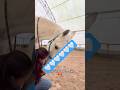 Il mio bimbo bello❤️#equestrian #horse #cavallo #equitazione #horseriding #equestrianlife #cavalli