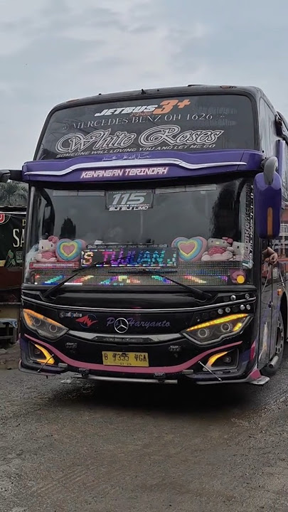 Story'WA bus PO HARYANTO WHITE ROSES mboiss 30 detik