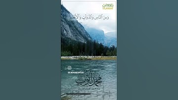 تلاوة مميزة من سورة الفاطر للشيخ محمد أيوب رحمه. #تلاوات  #القرآن_الكريم #اكسبلور