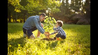 Top 5 Best Trees to Plant That Thrive in Utah's Climate