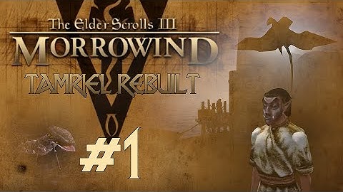 Morrowind: Tamriel Rebuilt - Part 1: Bosmer in a Strange Land