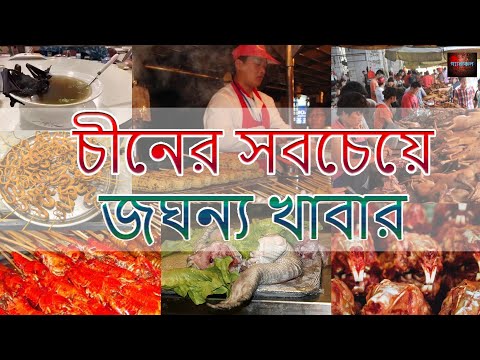 ভিডিও: সাংস্কৃতিক অক্টোপাস