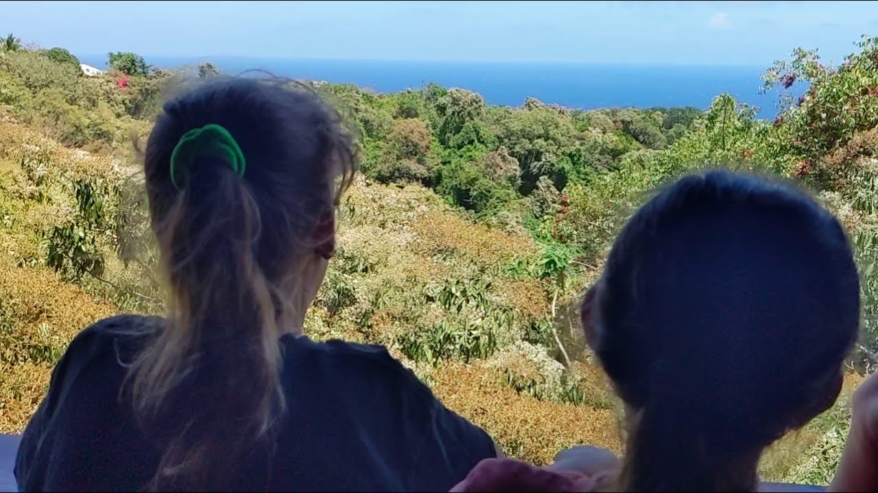 Roatan Spring Update - YouTube