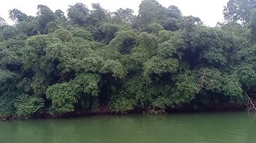 Hồ Núi Cốc Đảo Cò   0989509960