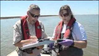 Tests Show Seafood Is Safe
