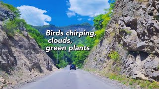 Taihang Mountain cloud top, birds chirping, clouds, green plants