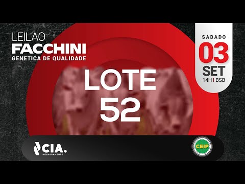 LOTE 52 LEILÃO FACCHINI 2022