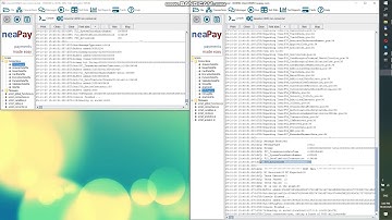neapay Converter to JSON XML SQL to Http Host - host unavailable - Part.3