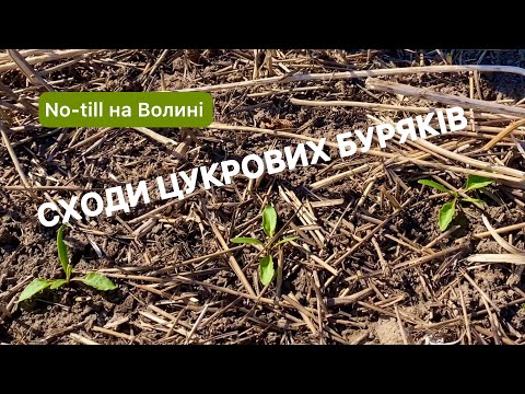Віталій Рудченко дає