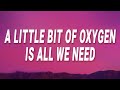 Chris brown  a little bit of oxygen is all we need no one else lyrics ft fridayy