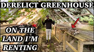 Off Grid Green House Find - Should I Take it On | Gardening In Scotland 🏴󠁧󠁢󠁳󠁣󠁴󠁿