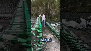 Cam Şişelerden Ev Yapan Adam Herkesi Şaşırttı