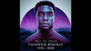 A King's Sunset - Black Panther OST | Chadwick Boseman | Baaba Maal