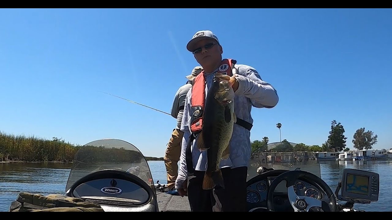 Summer Time Ca Delta Bass Fishing