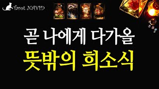 [타로] 여러분에게는 이런 기쁜 일들이 다가옵니다.