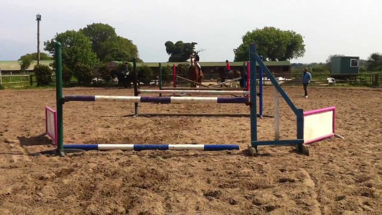 Horse Jumping 1 Metre, Euro and Lauren - YouTube