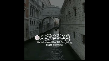 اروع تلاوة القران الكريم ب صوت القارئ محمد كمال هاشم سورة الزمر آجمل حالات واتس اب قرآنيه