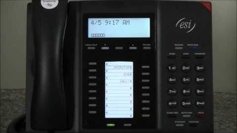 Programming the keys on your ESI phone 28