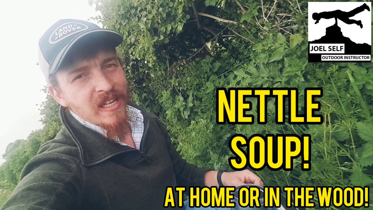 How to Make: Nettle Soup! (Bushcraft Focus) - A Video by Joel Self - Outdoor Instructor