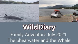 My Wild Year - The curious Whale and the Shearwater @minkewhale @mvshearwater @canonr6 @smallisles