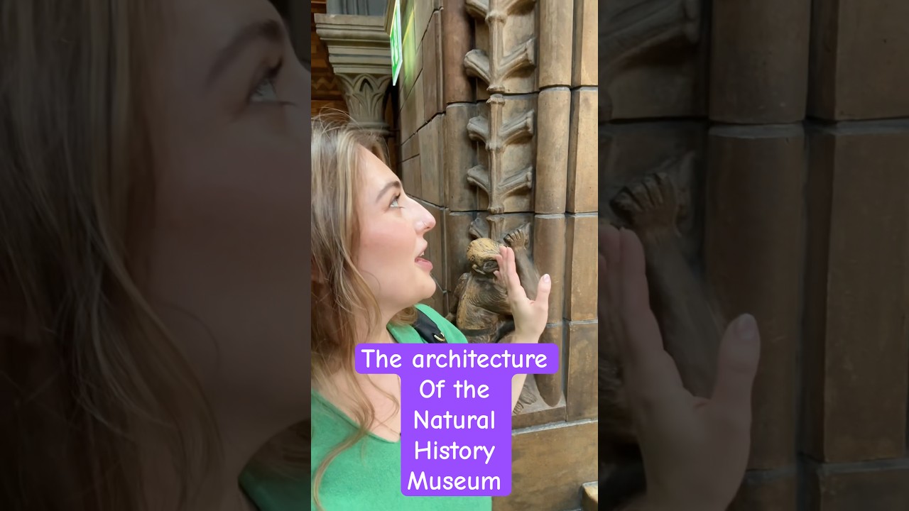 history and architectural knowledge about the natural history museum 