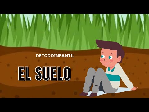 Video: ¿Qué es el suelo y qué puede ser?