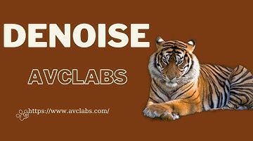 Noise Reduction: See How to Remove Noise from Your Video with Ease