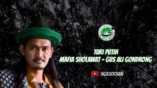 TURI PUTIH VERSI MAFIA SHOLAWAT - GUS ALI GONDRONG || NGASO #1