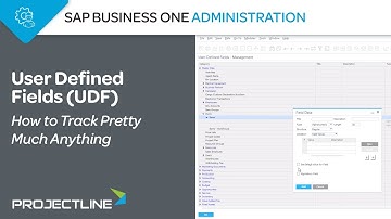 SAP Business One UDF | How to Track Pretty Much Anything with User Defined Fields