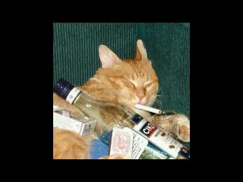 belowground - I