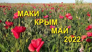 Маки Крым Май 2022