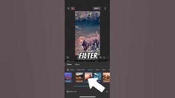 How to add filter to entire video #capcuttutorial #editingtutorial #capcut #travelvideo #tutorial