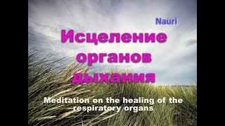 Медитация на исцеление органов дыхания/Meditation on the healing of the respiratory organs