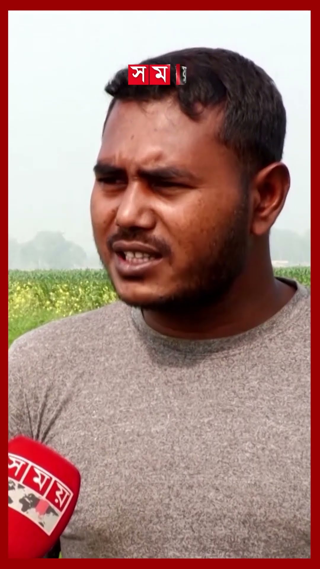 কুষ্টিয়া সীমান্তে কৃষি জমি ফেরত দিচ্ছে ভারত | Kushtia-Daulatpur Border | Land Recover From BSF | BGB