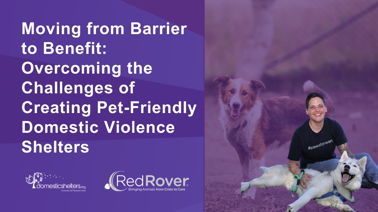 From Barrier to Benefit Challenges of Creating PetFriendly
