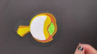 Anatomy horse eye