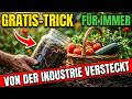 Fünf Wege, wie du REGENWÜRMER anlockst — dreifache Ernte mit Küchenresten
