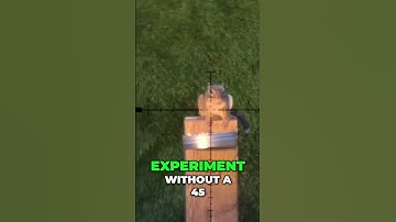 Squirrels & Chipmunks  Pest Control Experiment Gone Wrong!