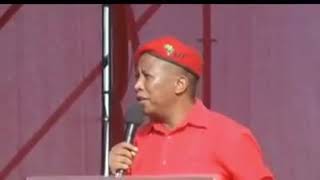 Julius Malema tells Patrice Motsepe to pfutsek and know his place